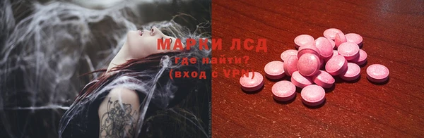 прущие грибы Белокуриха