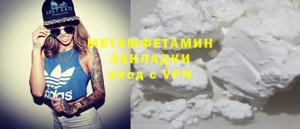 прущие грибы Белокуриха
