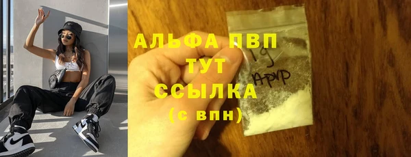 дживик Беломорск