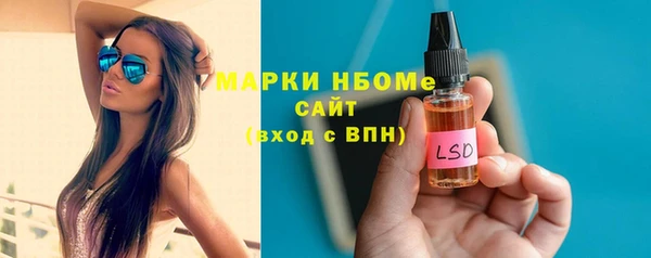прущие грибы Белокуриха