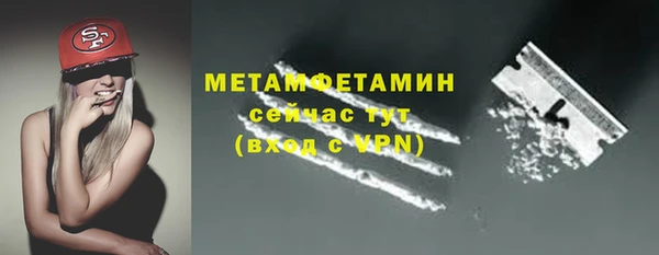 прущие грибы Белокуриха