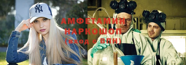 прущие грибы Белокуриха