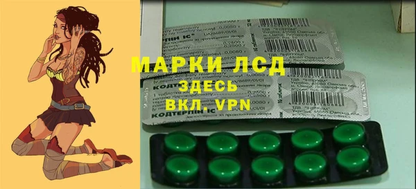 прущие грибы Белокуриха