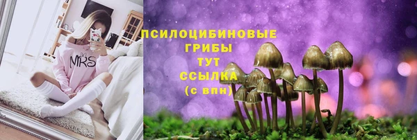 дживик Беломорск